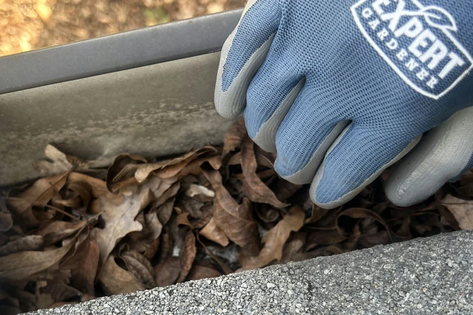 Gutter Cleaning Timberlake