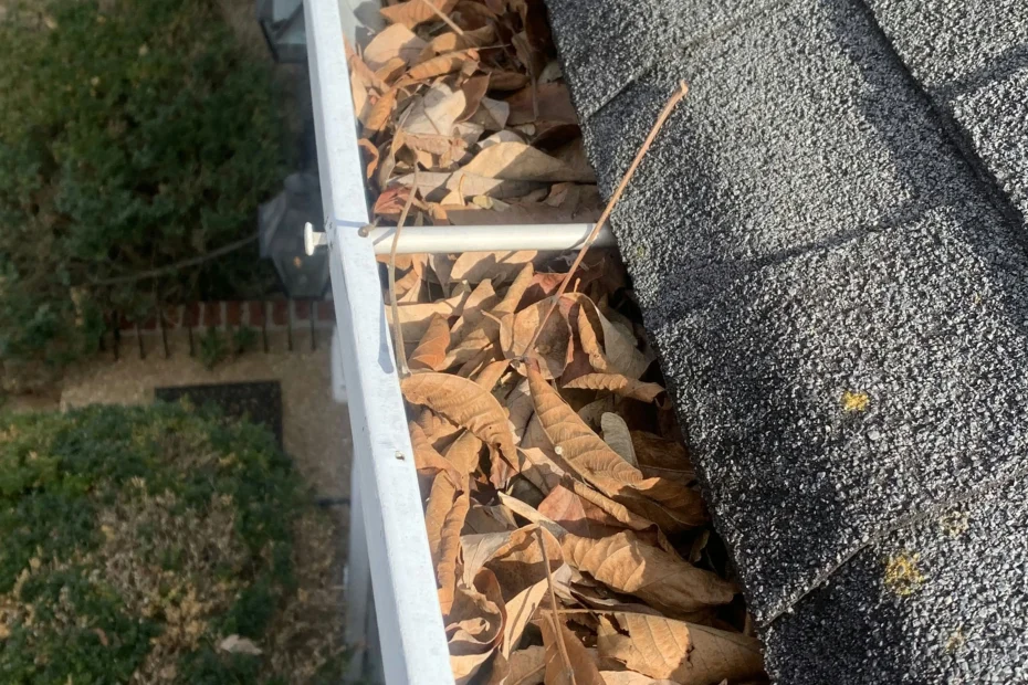 Gutter Cleaning Timberlake