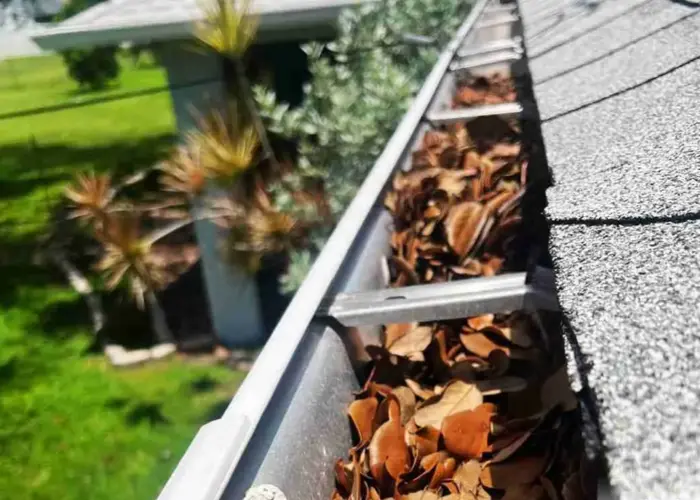 Gutter Cleaning Timberlake home page